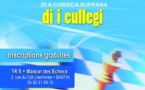 Championnat des Collèges de la Haute - Corse