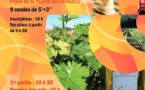 Tournoi de blitz de Carbuccia