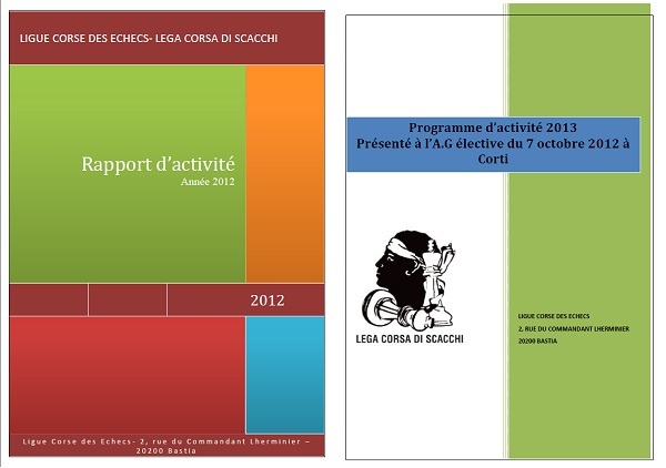 Rapport d'activité de la ligue en 2012 et projets pour 2013
