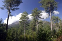 Le stage de 2013 Le stage de 2013