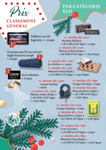 Serge Guillemart et Ludovic Utrera premiers ex-æquo de l’Open de Noël du Corsica Chess Club !