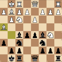 Tournois internes du CCC : l'expérience et la jeunesse triomphent ! Tournois internes du CCC : l'expérience et la jeunesse triomphent !