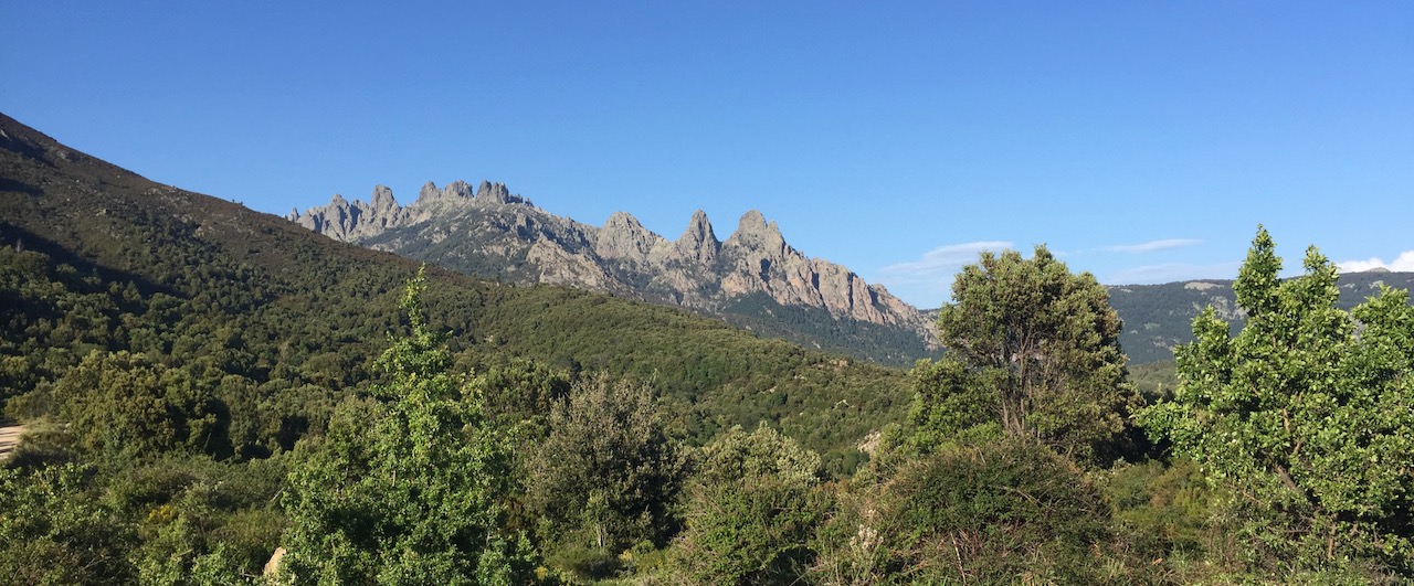 Laurent Fressinet l’emporte à Quenza devant Van Wely. Saveriu Battesti champion de Corse de Blitz