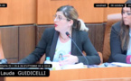 Unanimité de l'Assemblée de Corse pour le soutien à la Ligue