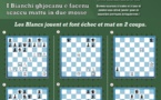 Settimana di u 27 di dicembre 2019