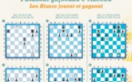 Settimana du  30 juillet 2021