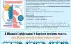 Settimana du 27 octobre 2023