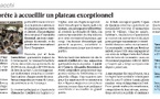 Corse-Matin du 28-06-26