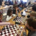 23905491_1984568368225108_8518817177307351108_n
