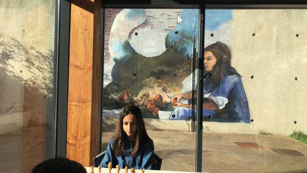 ZY-Photo-2019-02-13-00000389